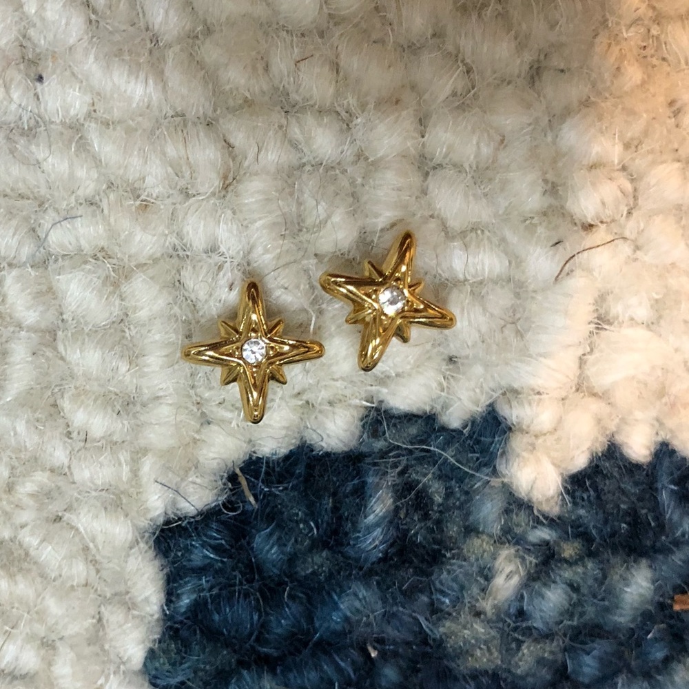 Stella & Dot earrings